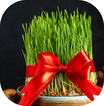 Интересные факты Интересные факты