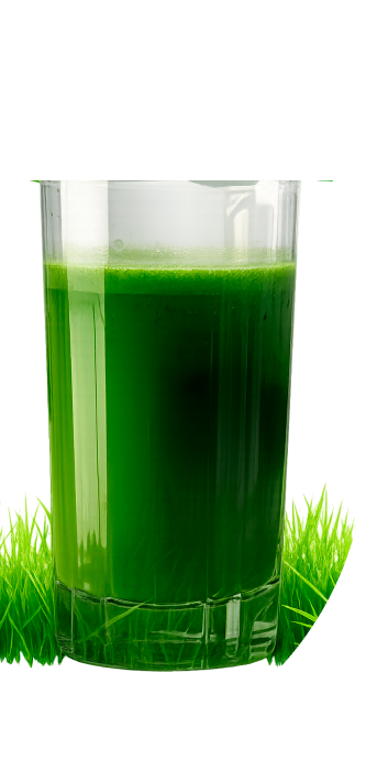 Vigrass натуральная добавка Vigrass натуральная добавка