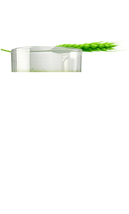 Vigrass натуральная добавка Vigrass натуральная добавка